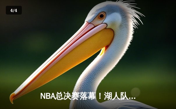 NBA总决赛落幕！湖人队4-2逆转热火，詹姆斯荣膺FMVP - 4